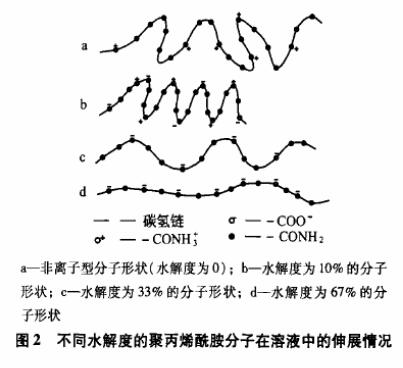 圖2不同水解度的聚丙烯酰胺分子在溶液中的伸展情況