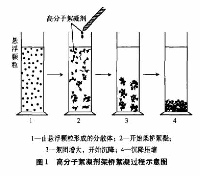 圖1高分子絮凝劑架橋絮凝過程示意圖