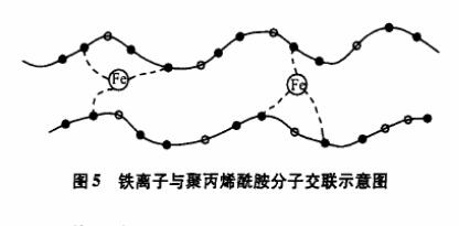 圖5鐵離子與聚丙烯酰胺分子交聯(lián)示意圖