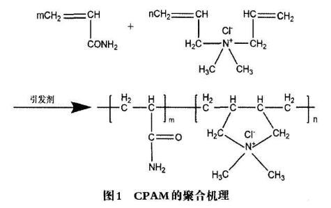 圖1CPAM的聚合機理