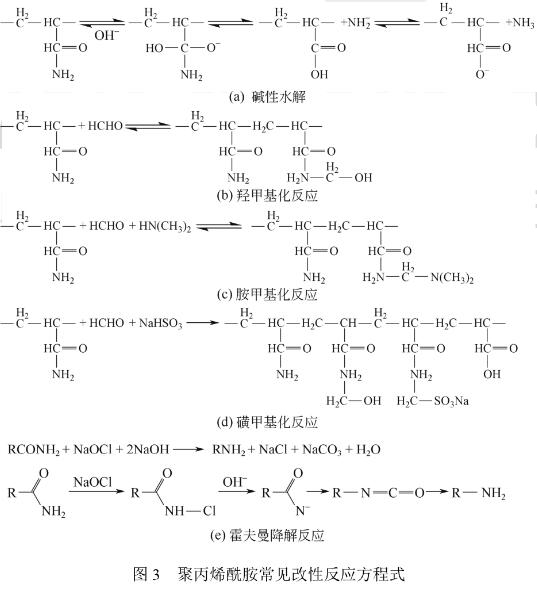 圖3 聚丙烯酰胺常見改性反應(yīng)方程式