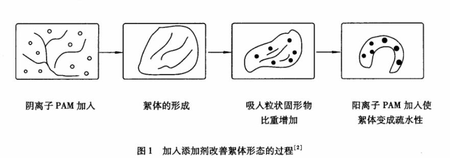 圖1 加入添加劑改善絮體形態(tài)的過(guò)程