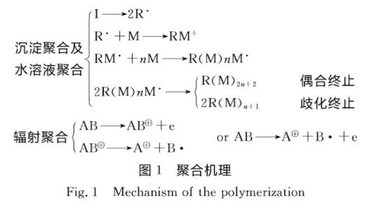 圖1聚合機(jī)理